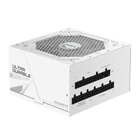 Napajanje GIGABYTE PG5 ICE GOLD, 1000 W, modularno, PCI-E 5.0