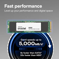 SSD disk 480GB, CRUCIAL E100, M.2 2280, PCIe Gen4, NVMe