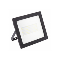 LED reflektor GTV G-TECH, 100 W, 8000 lm, 4000K, IP65, 120°, crni