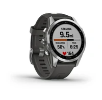 Pametni sat GARMIN fenix 7S, Stainless Steel/Graphite (010-02539-01)