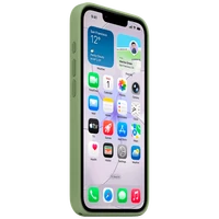 Maskica APPLE Silicone Back Cover MagSafe za APPLE iPhone 17e, Green (MHWF4)
