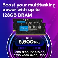 Memorija CRUCIAL 48 GB Kit (2x24 GB), DDR5, 5600 MHz, SODIMM, CL46, 1.1V