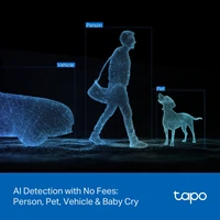 Kamera TP-LINK Tapo C246D