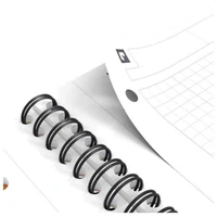Blok kolegij A4 karo 80L perforacija+4rupe International notebook Oxford 100103664