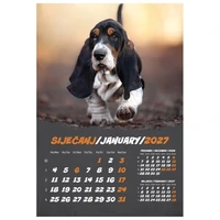 Kalendar "Kućni ljubimci 2027" 13 listova, spirala