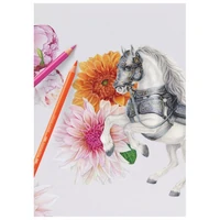 Boje drvene  20boja metalna kutija Polychromos Faber Castell 110020