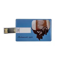 USB kartica 32 GB